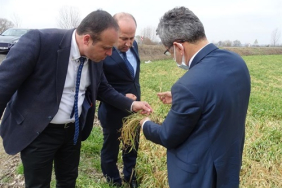 WhatsApp Image 2021-03-09 at 18.24.02 (2)