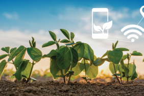 mini-istasyon-ile-hassas-sulama