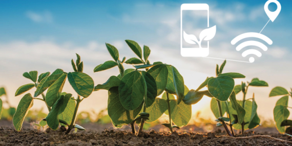 Mini istasyon ile hassas sulama