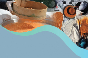 31299483-b2b5-4dcb-bf27-94ecda8cb0b9