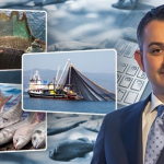 Balıkçılık Destek Vitrin