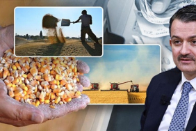 Hububat Baklagil Vitrin