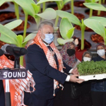 İzmir Fidan Dağıtım Vitrin