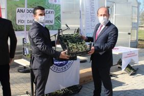 WhatsApp Image 2021-04-13 at 17.25.21