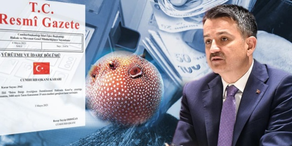 BALON BALIĞI AVCILIĞININ DESTEKLENMESİNE İLİŞKİN KARAR RESMİ GAZETEDE YAYIMLANDI