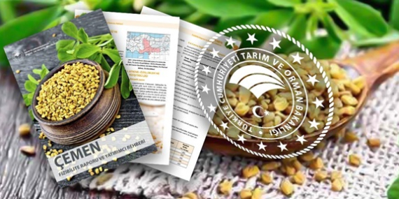 ÇEMEN İÇİN FİZİBİLİTE RAPORU VE YATIRIMCI REHBERİ HAZIRLANDI