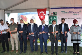 241182513_590132672425510_810352201063332654_n