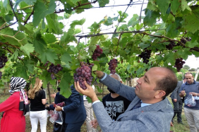 241434736_591021029003341_4215068553711336007_n