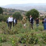 241708899_596069151831862_1733877934354686677_n