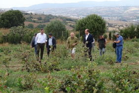 241708899_596069151831862_1733877934354686677_n