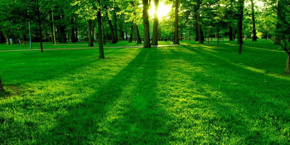 BAKAN PAKDEMİRLİ’DEN TÜM DÜNYAYA “GELECEĞE NEFES” DAVETİ