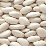 KONYADA-KURU-FASULYE-ÜRETİMİ-GELİŞİYOR