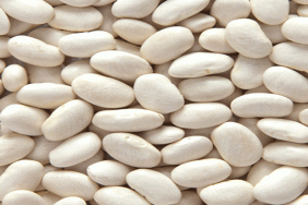 KONYADA-KURU-FASULYE-ÜRETİMİ-GELİŞİYOR