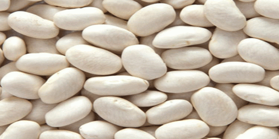 KURU FASÜLYE ÜRETİMİNDE REKOR