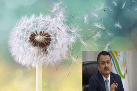 POLEN-ALERJİSİNE-KARŞI-METEOROLOJİDEN-ÖNEMLİ-ÇALIŞMA!