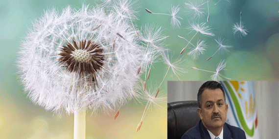 POLEN ALERJİSİNE KARŞI METEOROLOJİDEN ÖNEMLİ ÇALIŞMA!