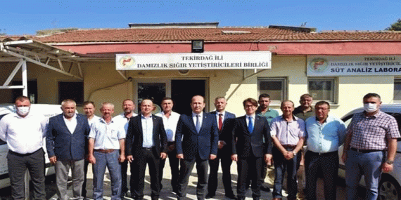 TEKİRDAĞ İL TARIM VE ORMAN MÜDÜRÜNDEN TEKİRDAĞ İLİ DAMIZLIK SIĞIR