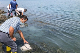 WhatsApp Image 2021-08-27 at 17.45.33