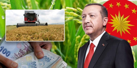 CUMHURBAŞKANI ERDOĞAN ÇELTİK ALIM FİYATLARINI AÇIKLADI