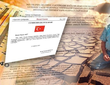 kuraklık