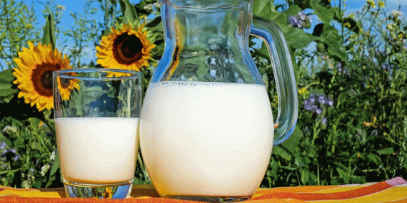 ÇİĞ SÜT DESTEKLERİ NİHAYET ÖDENİYOR!