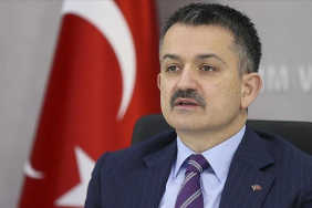 thumbs_b_c_96e3835afbe87375da42e9d502a8364b