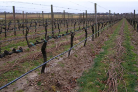 273582535_690080859097357_1382005992703921861_n