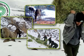 yemleme haberi vitrin