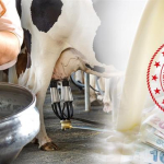 çiğ süt destek ödemesi artırımı vitrin 18.3.2022