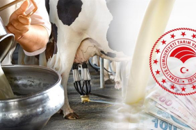 çiğ süt destek ödemesi artırımı vitrin 18.3.2022