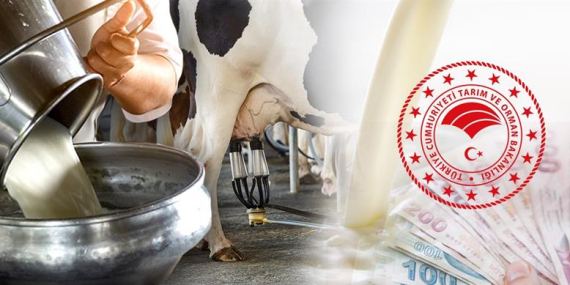 ÇİĞ SÜT DESTEKLEME PRİMİ 1 LİRAYA YÜKSELDİ