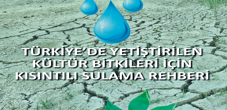 sı kısıtı foto