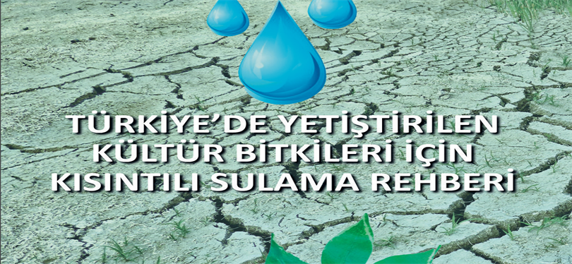 TÜRKİYE’DE YETİŞTİRİLEN KÜLTÜR BİTKİLERİ İÇİN KISINTILI SULAMA REHBERİ YAYINLANDI