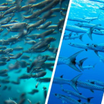 WhatsApp Image 2022-09-03 at 16.55.12