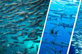 WhatsApp Image 2022-09-03 at 16.55.12