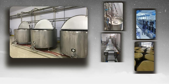 Süt ve Süt Ürünlerine Yönelik Yatırımlara Hibe Desteği