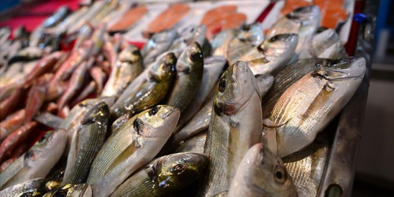 BU YIL SU ÜRÜNLERİ İHRACAT HEDEFİ 1,5 MİLYAR DOLAR