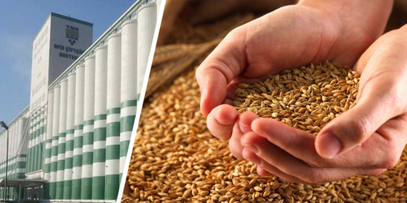 TOPRAK MAHSULLERİ OFİSİ ALIM PRİMİ DESTEĞİNE İLİŞKİN KARARDA DEĞİŞİKLİK YAPILDI