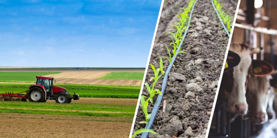 KIRSAL KALKINMADA DESTEKLER ARTIRILDI