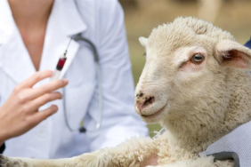 E-recete_haber_vitrin_2023