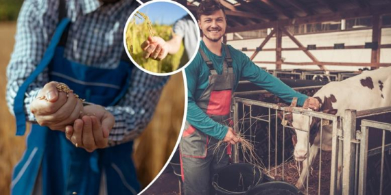 UZMAN ELLER PROJESİ HİBE DESTEĞİ 250 BİN LİRAYA ÇIKARILDI