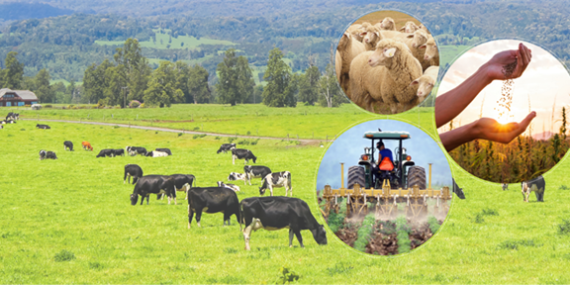 49 MİLYON 411 BİN LİRALIK DESTEKLEME ÖDEMESİ BUGÜN HESAPLARA AKTARILACAK