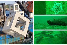 Yapay Resif Çalışmaları