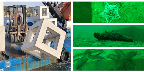 YAPAY RESİFLER BALIKLARA YUVA OLUYOR