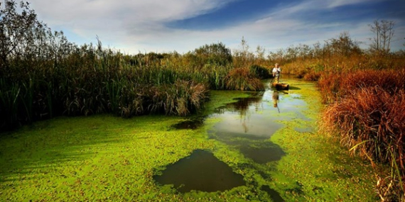 KORUNAN ALANLARDA ZİYARETÇİ REKORU