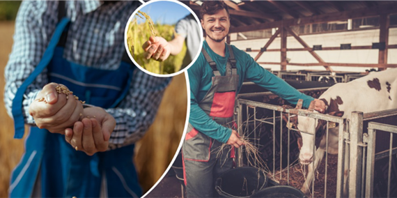 Uzman Eller Projesi Hibe Desteği 250 Bin Liraya Çıkarıldı