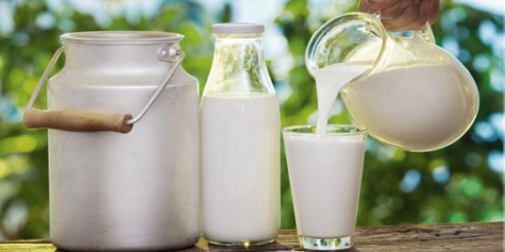 ÇİĞ SÜT DESTEĞİ ÖDEMELERİNE İLİŞKİN ESASLAR BELLİ OLDU