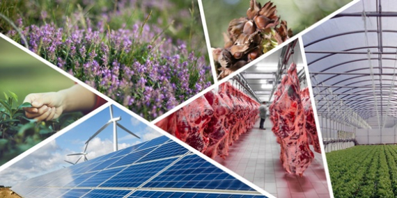 IPARD-II PROGRAMI KAPSAMINDA 733 PROJENİN BAŞVURUSU ONAYLANDI