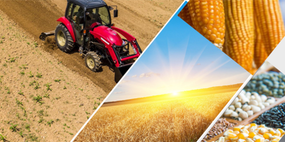 34 MİLYON 801 BİN LİRALIK DESTEKLEME ÖDEMESİ BUGÜN HESAPLARA AKTARILACAK