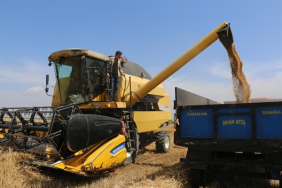 bugday_hasadi_2023_4